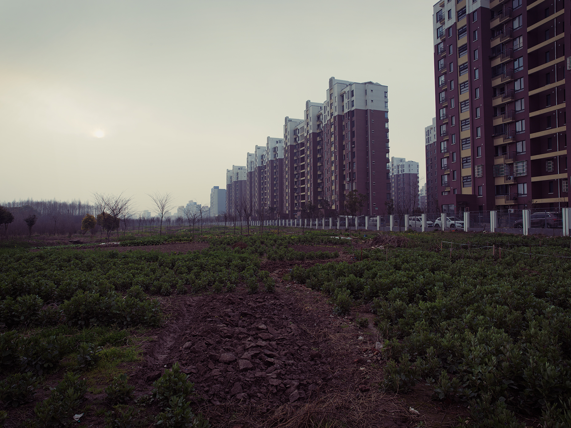 Shanghai_Landscape_0511